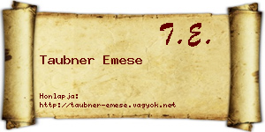 Taubner Emese névjegykártya